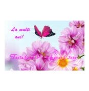 imagine comestibila “flori”