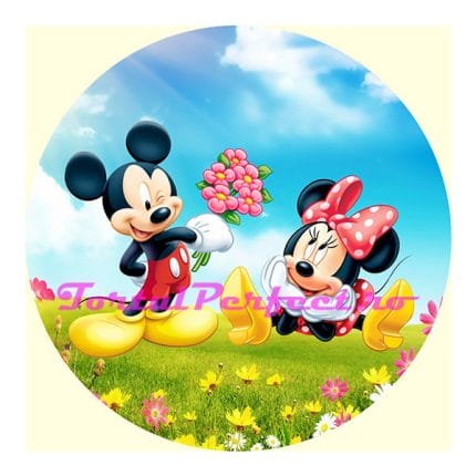 Imagine comestibila “Mickey & Minnie”