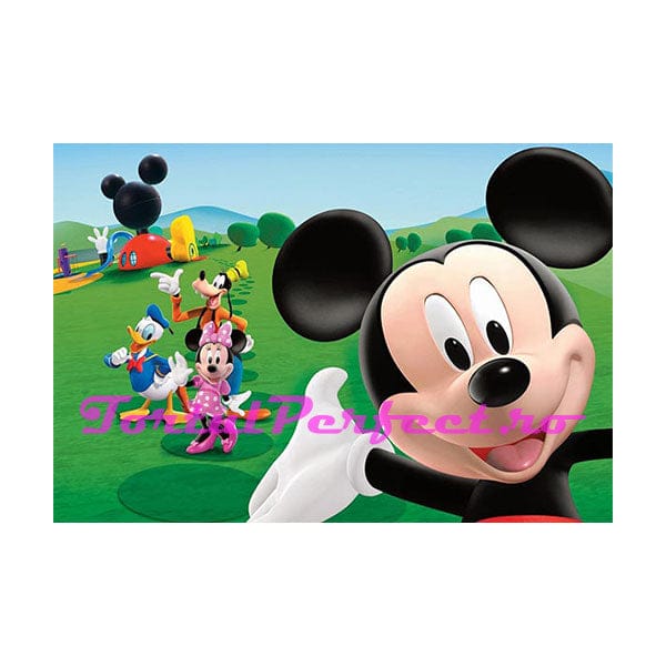 imagine comestibila “clubul lui mickey mouse”